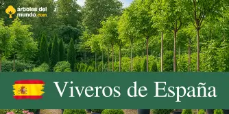 Directorio de viveros en España